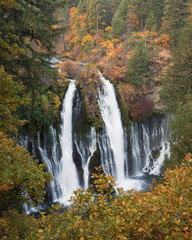 Burney Falls cascading through autumn foliage at McArthur-Burney Falls Memorial State Park in Shasta County, California.