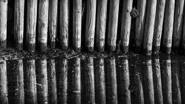 Black and white reflection of wooden groynes in the Wadden Sea: Abstract coastal defense pattern at UNESCO World Natural Heritage site
