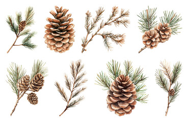 Fototapeta premium PNG Pine cones and branches illustration, element set on transparent background
