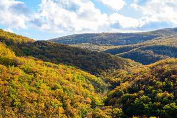 autumn landscape in the mountains