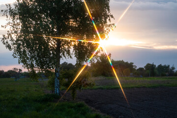 Spectrum of light of the setting sun.
In the evening, the red part of the spectrum prevails. It creates warm tones.
