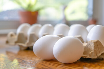 A Dozen White Chicken Eggs In Brown Paper Egg Carton