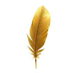A single golden feather with intricate details, displayed on a transparent background. The feather showcases a smooth texture and vibrant color.