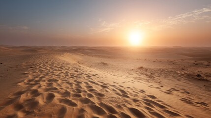 Under the golden sunset over expansive sandy dunes with rippling patterns and clear blue sky in a vast desert landscape