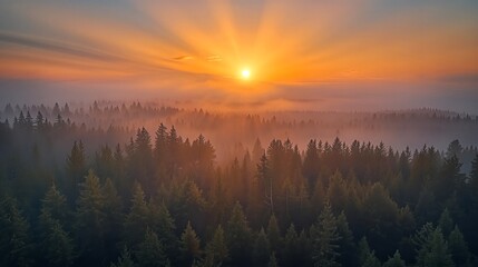 Obraz premium A stunning macro photograph of a golden liquid creating an elegant crown-shaped splash against a colorful background.