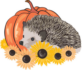 Hedgehog and sunflowers PNG
