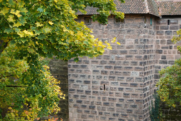 Trees At The City Walls In Nuremberg, Germany In Autumn.
