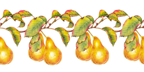 Watercolor seamless border featuring ripe yellow pears hanging on branches with green and red autumn leaves. Illustration for packaging, textile, kitchen decor, branding and seasonal food design.