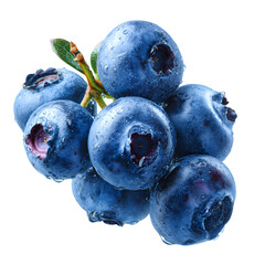 Obraz premium Fresh Blueberries Cluster Isolated on White Background Healthy Fruit.