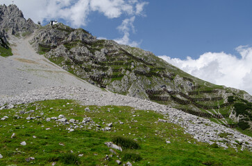View of avalanche barrier in the Austrian Alps