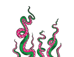 Tentacles of octopus, vector hand drawn collection of illustrations. Black and white engraving style drawings. Tentacle straight and with rings in different angles.