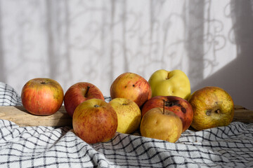 Bodegón con manzanas maduras de la huerta sobre paño a cuadros, recibiendo luz lateral. Vista frontal.
