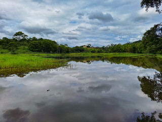 lake in the forest