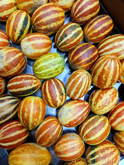 Striped decorative Vietnamese melons arranged at market. exotic beauty, tropical abundance