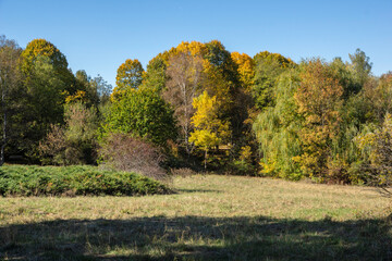 Naklejka premium Autumn view of South Park in city of Sofia, Bulgaria