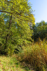 Obraz premium Autumn view of South Park in city of Sofia, Bulgaria