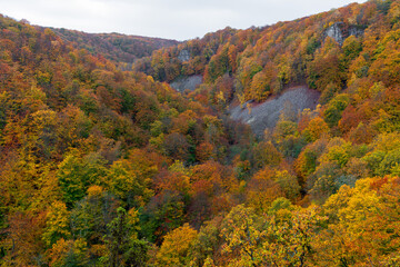 Beautiful autumn colors at Soderasen National Park in Sweden
