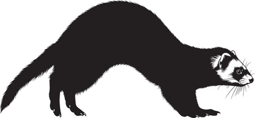 Silhouette of a black ferret with white facial markings crouched low ready to pounce on a