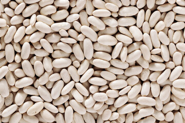 Textured white bean background top view flat lay, source of plant protein, healthy nutrition