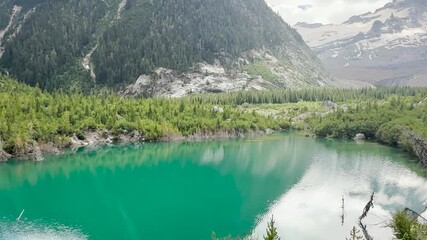 A camera pan an amazing view showing a place with lot of trees pine and  a lake in Mount Rainier National Park.USA, Washington.USA, Washington july 21 2025.