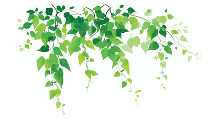 Lush Green Tropical Plant Background with Vibrant Climbing Liana Vine