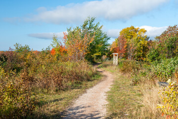 Fototapeta premium A gravel hiking trail with turns and twists. There's a wooden archway among the autumn foliage. The landscape has red, gold, orange, and green leaves on the trees of various sizes. The path is empty.