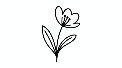 Simple hand-drawn outline of a delicate flower with leaves, evoking natural beauty and simplicity.
