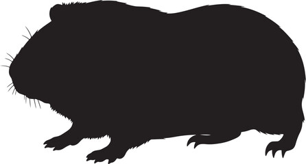 Silhouette of a fluffy guinea pig standing on its paws side view capturing its distinct shape and texture
