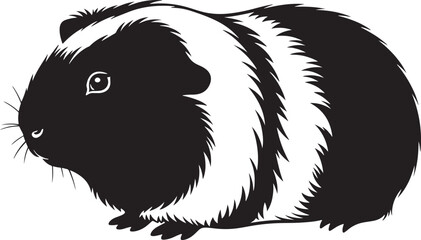 Adorable black and white guinea pig adorable rodent pet portrait cute companion animal