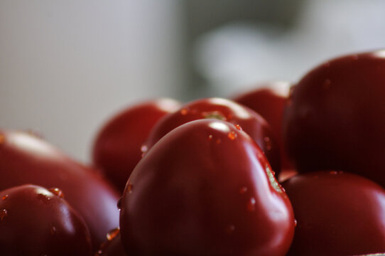 Ripe red tomatoes with water drops, close-up with soft bokeh