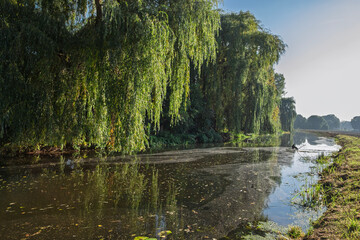 Der Fluss Dinkel bei Nienborg