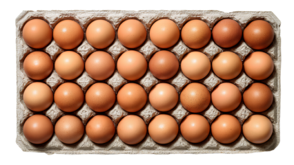 Top view of brown chicken eggs in carton tray – organic farm fresh eggs isolated