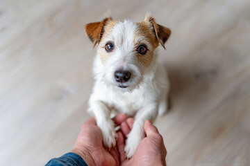 小さな手に伝わる信頼のぬくもり
