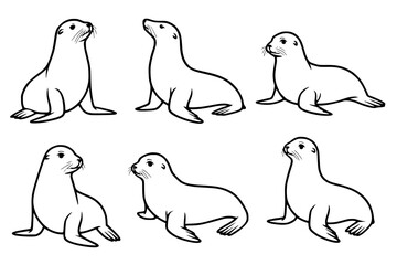 Illustration of 6 Sea Lion, outline version