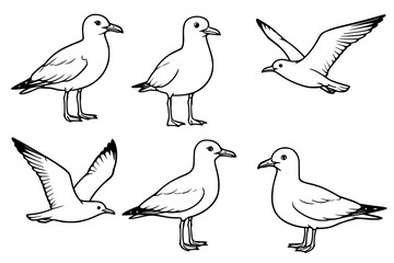 Illustration of 6 Seagulls, outline version