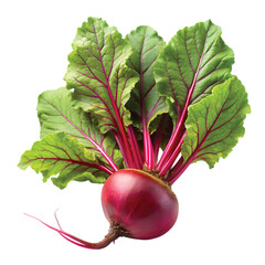 Fresh Whole Beetroot with Leaves: Fresh organic beetroot with green leaves attached, sharp detail, natural texture, high contrast lighting, PNG format.