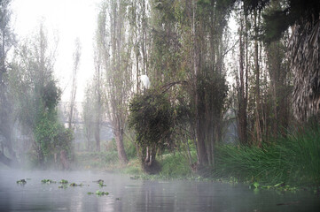 view of xochimilco in the morning