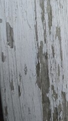 Old wood painted white