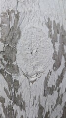 Old wood painted white