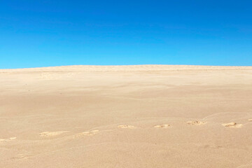 Sand dunes and blue sky on a sunny day. Natural background