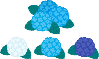 Hydrangea flower set in simple flat cartoon style. White, light blue and dark blue colors. Isolated vector clipart illustration.