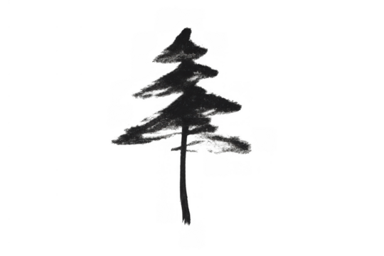 Hand-drawn charcoal pine tree silhouette on transparent background, showing forest nature and ecological concepts
