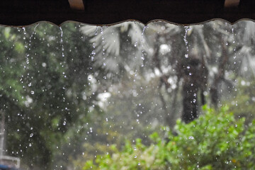 tropical rain falling on October in Brazil