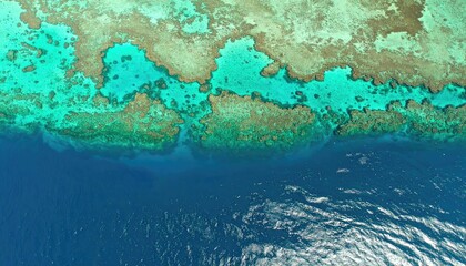 Aerial View of Vibrant Turquoise Coral Reef