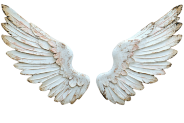 Aged, textured wings, white with subtle brown highlights
