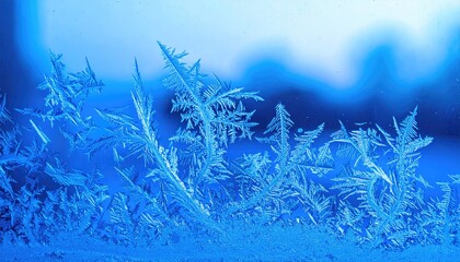 Blue Ice Crystals Frost Pattern Macro Photography