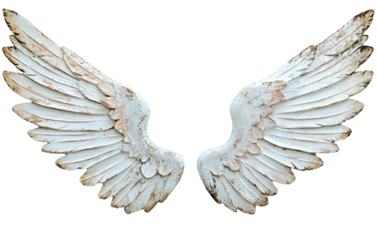 Aged, textured wings, white with subtle brown highlights