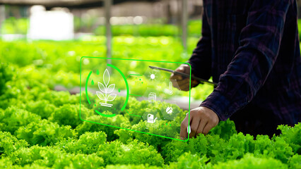 Modern smart farming using digital technology to monitor and control vegetable growth for...