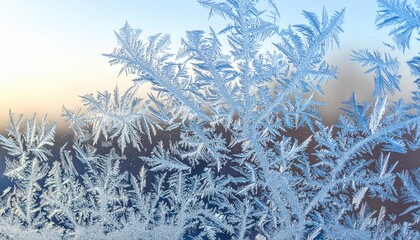Icy Filigree Frost Patterns on Glass