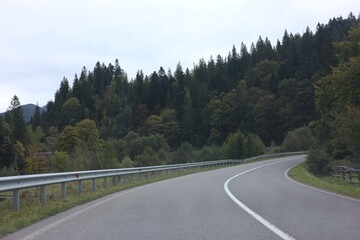 Beautiful view of green trees and asphalt road in mountains